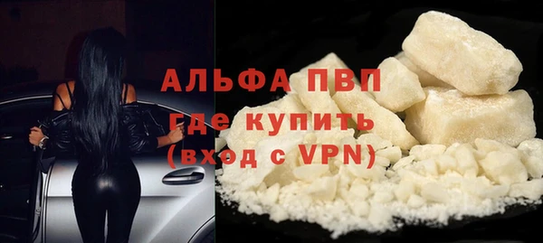 стафф Белокуриха