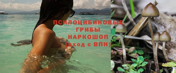 прущие крисы Белоозёрский